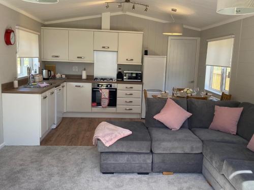 约克Hollicarrs - Newlands的带沙发的客厅和厨房