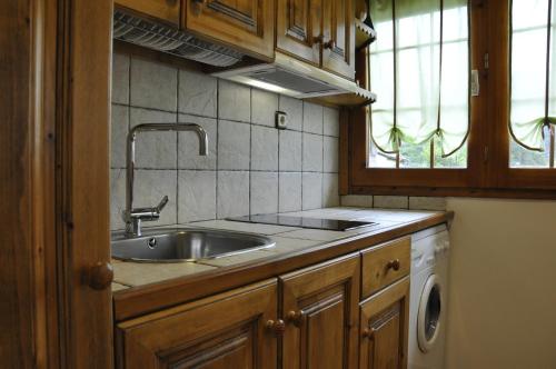 Apartamentos Los Pirineos - Atencion personal的厨房或小厨房