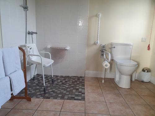 BunmahonCopper Coast B&B的一间带卫生间和水槽的浴室