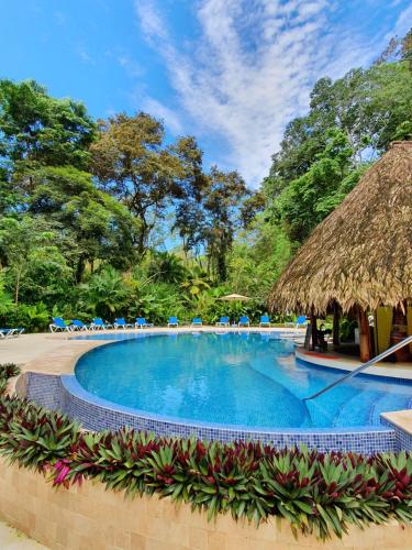 卡里布鲁海滩及丛林度假酒店内部或周边的泳池