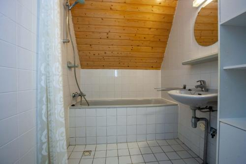 GramsbergenStijlvolle vakantiewoning just for holliday的带浴缸和盥洗盆的浴室