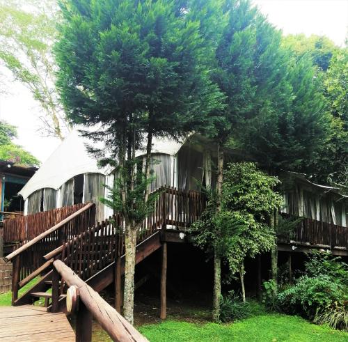 CamperdownSakabula Country Lodge的前面有一棵树的房子