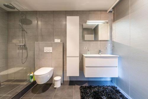 布鲁日Casa Tilleghem的浴室配有卫生间、盥洗盆和淋浴。