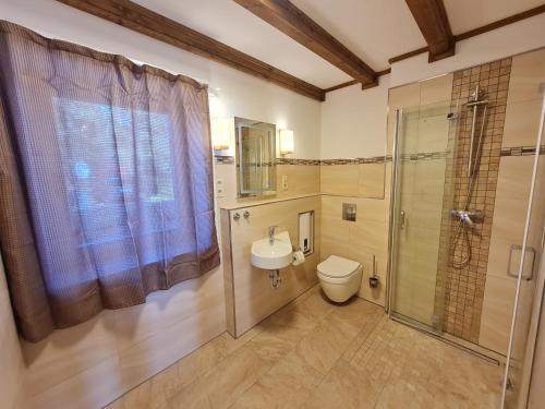 朗克维茨Peeneblick的浴室配有卫生间、淋浴和盥洗盆。