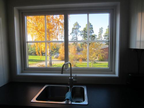 ArbråTORPET (Villa Solsidan), Hälsingland, Sweden的窗户前的厨房水槽