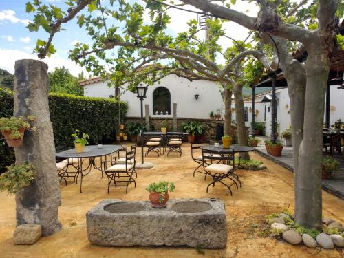 Hinojosa de Duero里尔金塔德拉康塞普西旅馆的庭院配有桌椅和树木