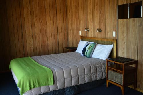莫拉基Moeraki Beach Motels的一间卧室配有一张带绿毯的床