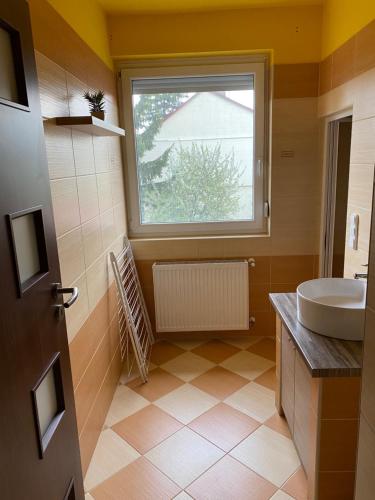 豪伊杜索博斯洛Platán Apartman的一间带水槽和窗户的浴室