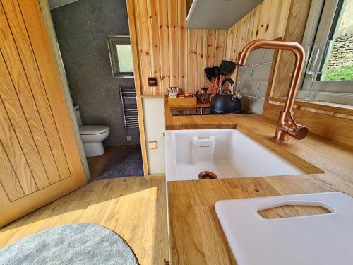 霍普Peak District Shepherds Hut的一间带水槽和卫生间的浴室