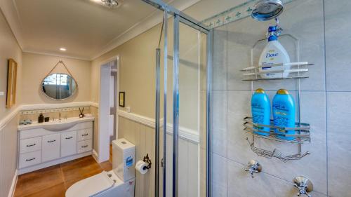 FlaxtonMitta Glen GuestHouse的一间带淋浴的浴室,墙上装有两瓶