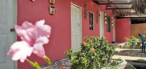 莫约加尔帕Guest House Nena的前面有一朵粉红色花的红房子