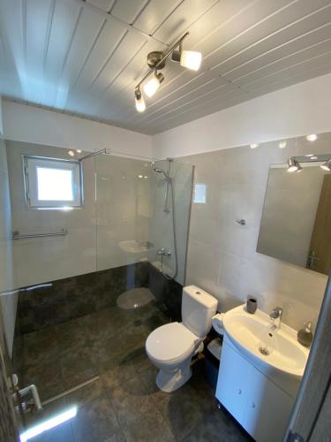 那沃达利La Casute Tasaul的一间带卫生间、水槽和镜子的浴室