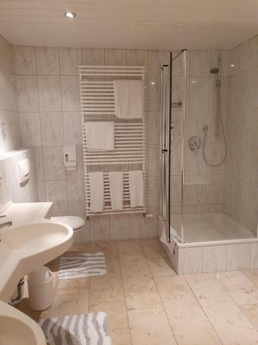 容霍尔茨HOTEL WALDHORN的带淋浴、盥洗盆和浴缸的浴室