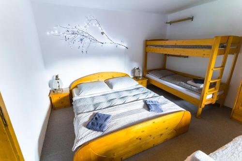 日利纳Chalupa v Štefanovej的一间卧室设有两张双层床和梯子