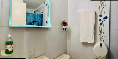 比亚维森西奥Refugio Llanero Hotel Boutique的一间带卫生间和蓝色药柜的浴室