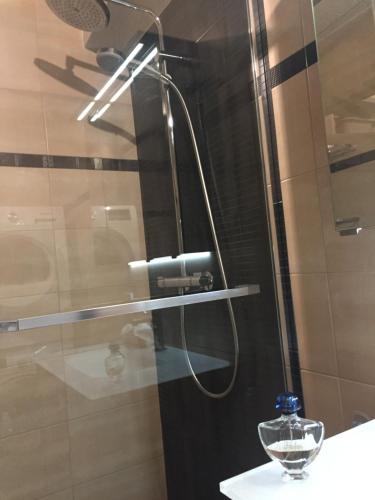 斯特拉斯堡Bel appartement的浴室内配有淋浴和头顶淋浴