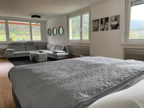 费尔德基希Skyloft Apartment Feldkirch的一间卧室配有一张床、一张沙发和窗户。