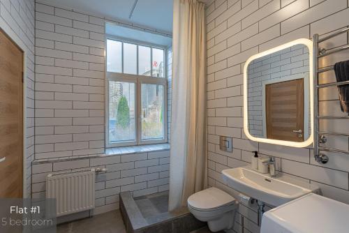 里加Dandelion Apartments XIXc Cottage的一间带水槽和卫生间的浴室以及窗户。