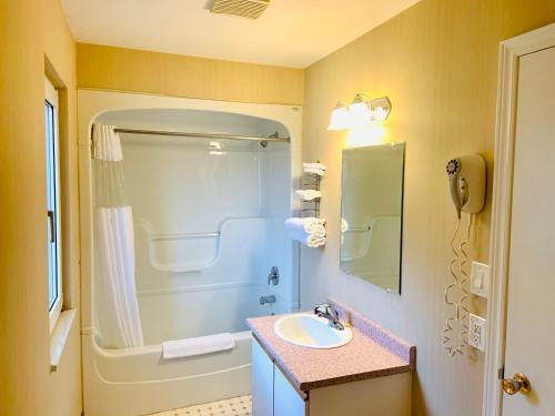 米西索加Green Acres Motel的浴室配有水槽、淋浴和浴缸。