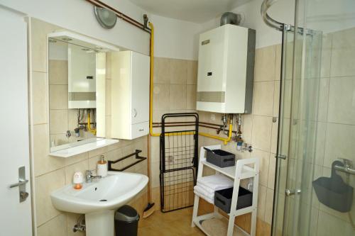 普图伊House Minka的一间带水槽和淋浴的浴室
