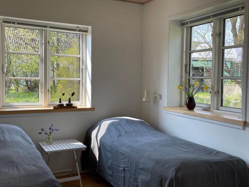 鲁德克丙Strynø Living的一间卧室设有两张床和两个窗户。