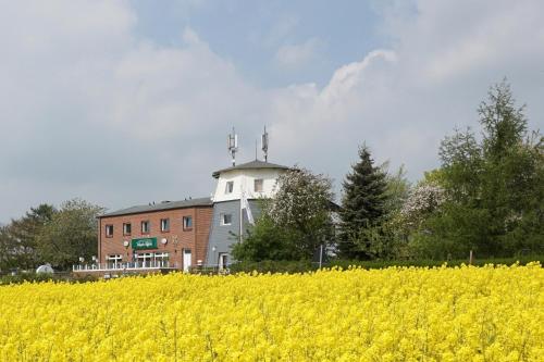 瓦布斯Landgasthof Waabs Mühle的建筑前方有黄色花的建筑