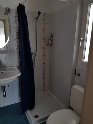 戈尔多拉Appartamento Elisabetta的带淋浴、卫生间和盥洗盆的浴室
