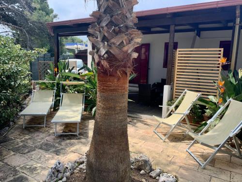 维耶斯泰La Dimora in riva al mare的坐在椅子和房子旁边的棕榈树