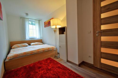 什平德莱鲁夫姆林Apartment Dalibor II.的一间卧室配有一张床和红色地毯