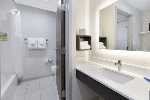 沃伦Holiday Inn Express Detroit-Warren/General Motors Technology Center, an IHG Hotel的一间带水槽、卫生间和镜子的浴室