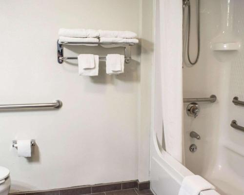 威廉斯堡古威廉斯堡司丽普酒店的带淋浴、卫生间和毛巾的浴室