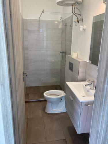 扎马迪Zamárdi Parti Apartman 1的浴室配有卫生间、淋浴和盥洗盆。