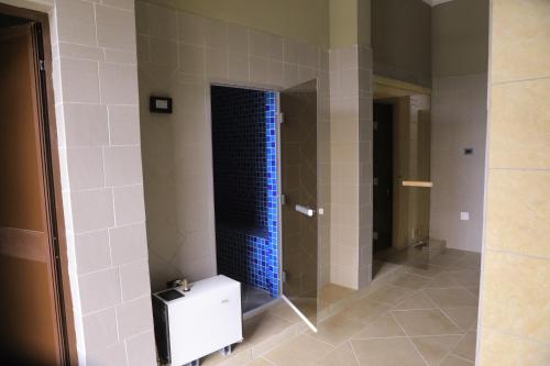 AdamaHaile Resort Adama的浴室设有蓝色瓷砖和淋浴。