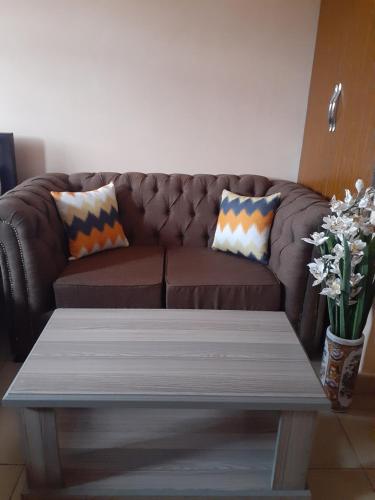 阿西里弗Royal studio in Kitengela的棕色沙发、枕头和咖啡桌