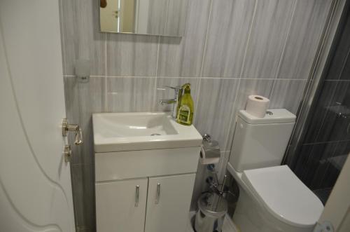 伊斯坦布尔Rodion Hotel的一间带水槽、卫生间和镜子的浴室