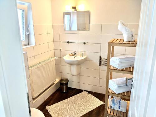 弗伦斯堡fewo1846 - Hyggelig Ferie - komfortable ländlich gelegene 2-Zimmer-Wohnung的一间带水槽和卫生间的小浴室