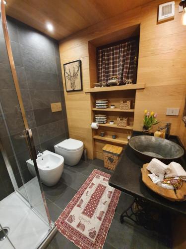 韦尔南泰Chalet Salet的带淋浴、卫生间和盥洗盆的浴室