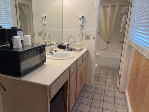 加特林堡Zoders Inn and Suites宾馆 的浴室配有盥洗盆和浴缸。