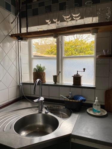 法尔肯贝里B&B Bland ormbunkar och rosor的带水槽的厨房台面和窗户
