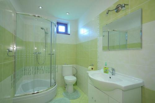 什特尔巴普里瓦塔特拉山什特尔巴民宿的带淋浴卫生间和盥洗盆的浴室