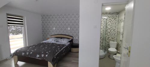 瓦特拉多尔内CASA LENA -VATRA DORNEI的一间卧室配有一张床,浴室设有淋浴。