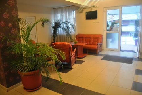 克卢日-纳波卡德拉法酒店的一间拥有橙色家具和植物的等候室