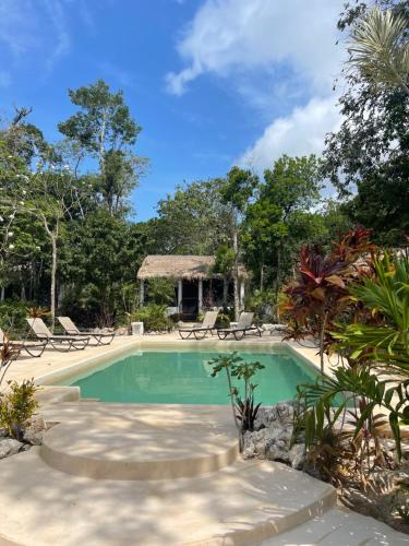 艾库玛尔Maya Eco Village的度假村的游泳池,带椅子和树木