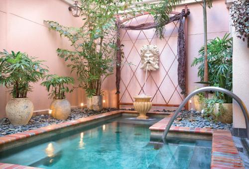 新奥尔良Club Wyndham La Belle Maison的盆栽植物的房子里的游泳池