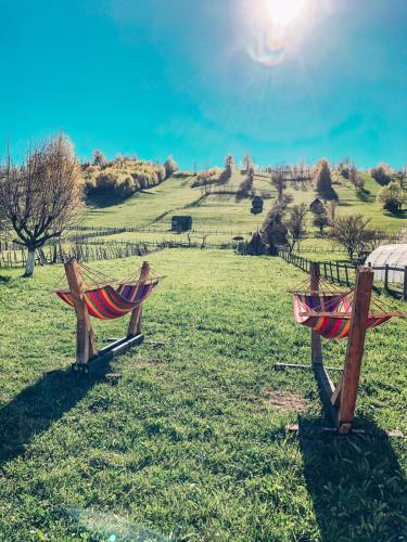 布拉索夫Cabanute Luca Ama Bran的两个木凳坐在阳光下的田野里