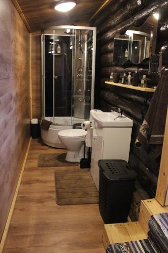 Lauku māja Latgalē - ''Siguldas''的一间带卫生间和玻璃淋浴间的浴室