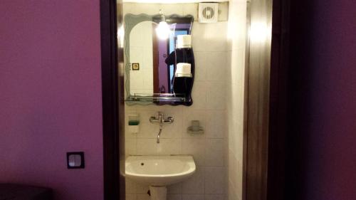 诺维萨德加亚宾馆的一间带水槽和镜子的浴室