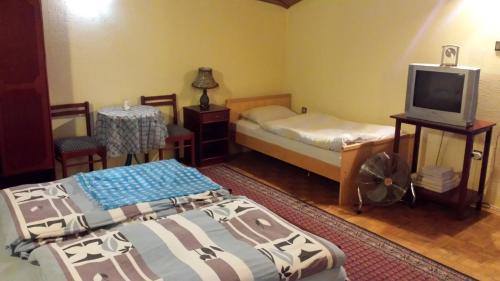 诺维萨德加亚宾馆的小房间设有两张床和电视