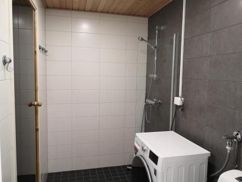 卡拉约基Aurinkoranta B4 merinäköalalla的带淋浴和卫生间的浴室。