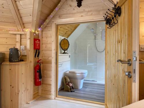 KintoreWoodland Lodge Mither Tap的带淋浴和卫生间的浴室。
